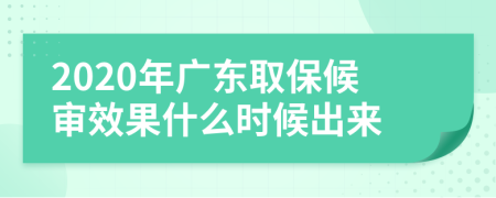 2020年广东取保候审效果什么时候出来