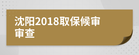 沈阳2018取保候审审查