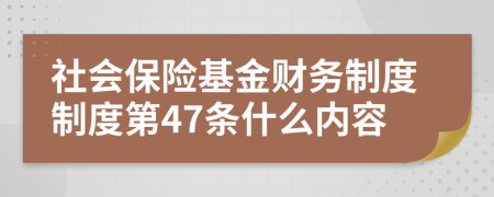 社会保险基金财务制度制度第47条什么内容