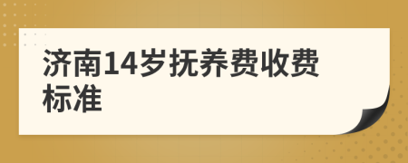 济南14岁抚养费收费标准