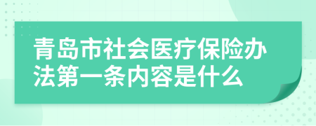 青岛市社会医疗保险办法第一条内容是什么