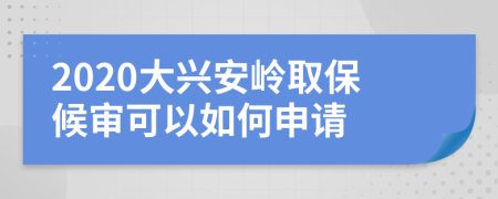 2020大兴安岭取保候审可以如何申请