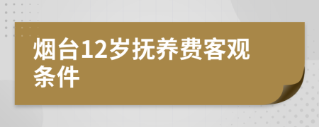 烟台12岁抚养费客观条件