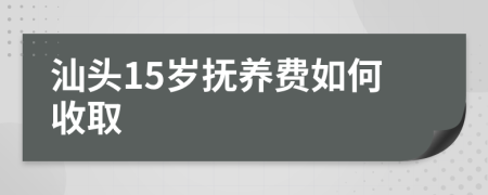 汕头15岁抚养费如何收取