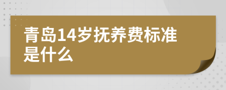 青岛14岁抚养费标准是什么