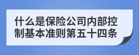 什么是保险公司内部控制基本准则第五十四条