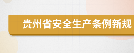 贵州省安全生产条例新规
