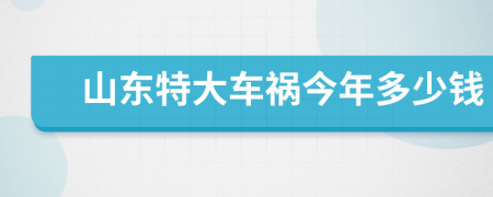 山东特大车祸今年多少钱