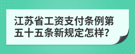 江苏省工资支付条例第五十五条新规定怎样？