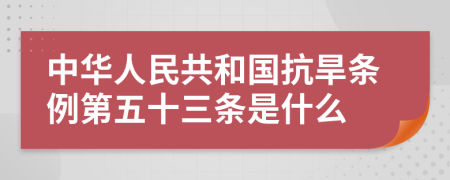 中华人民共和国抗旱条例第五十三条是什么