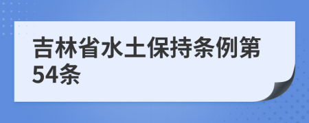 吉林省水土保持条例第54条