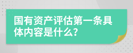 国有资产评估第一条具体内容是什么？