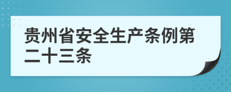 贵州省安全生产条例第二十三条