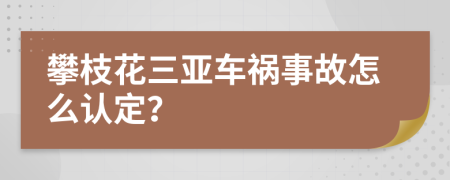 攀枝花三亚车祸事故怎么认定？