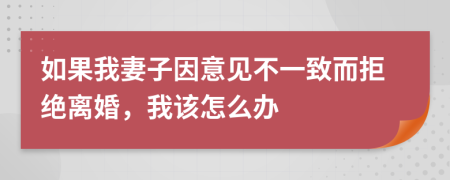 如果我妻子因意见不一致而拒绝离婚，我该怎么办