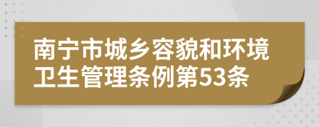 南宁市城乡容貌和环境卫生管理条例第53条