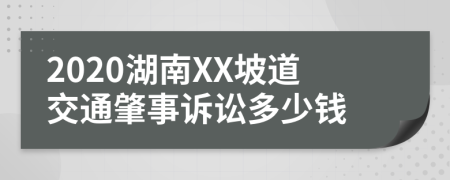 2020湖南XX坡道交通肇事诉讼多少钱