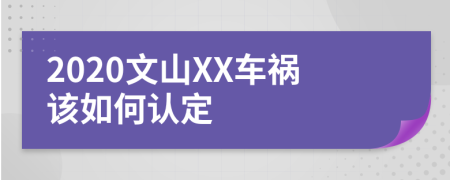 2020文山XX车祸该如何认定
