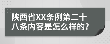 陕西省XX条例第二十八条内容是怎么样的?