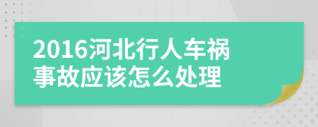 2016河北行人车祸事故应该怎么处理