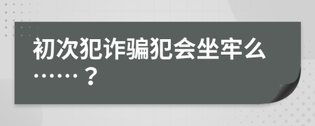 初次犯诈骗犯会坐牢么……？