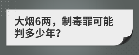 大烟6两，制毒罪可能判多少年？