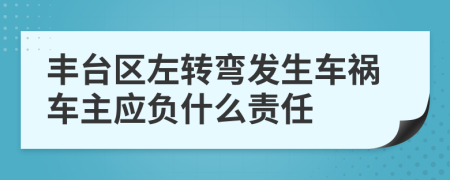 丰台区左转弯发生车祸车主应负什么责任