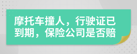 摩托车撞人，行驶证已到期，保险公司是否赔