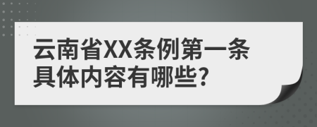 云南省XX条例第一条具体内容有哪些?