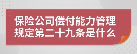 保险公司偿付能力管理规定第二十九条是什么