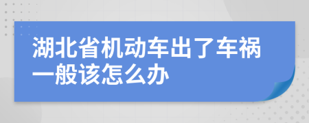 湖北省机动车出了车祸一般该怎么办