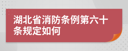 湖北省消防条例第六十条规定如何