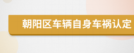 朝阳区车辆自身车祸认定
