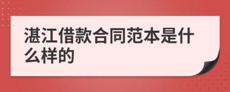 湛江借款合同范本是什么样的