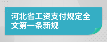 河北省工资支付规定全文第一条新规