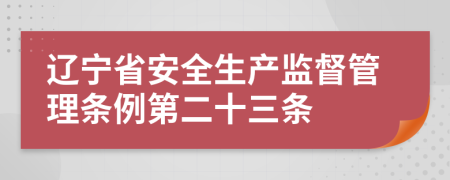 辽宁省安全生产监督管理条例第二十三条