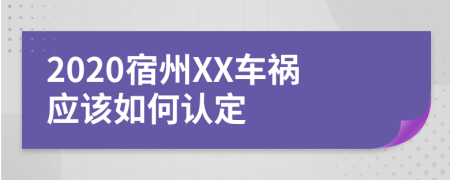 2020宿州XX车祸应该如何认定