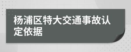 杨浦区特大交通事故认定依据