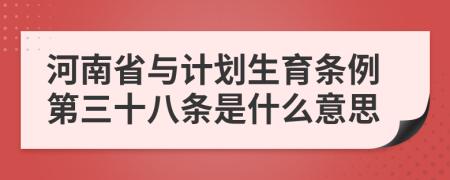 河南省与计划生育条例第三十八条是什么意思