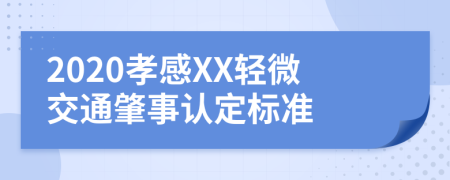 2020孝感XX轻微交通肇事认定标准