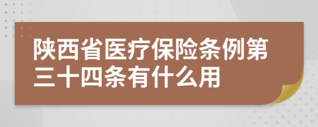 陕西省医疗保险条例第三十四条有什么用