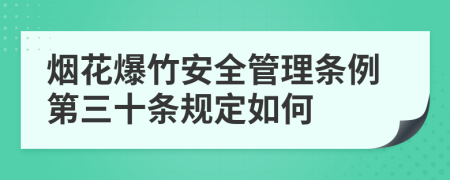 烟花爆竹安全管理条例第三十条规定如何