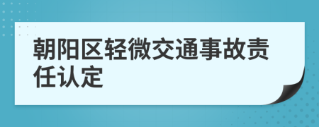 朝阳区轻微交通事故责任认定