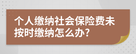 个人缴纳社会保险费未按时缴纳怎么办?