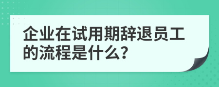 企业在试用期辞退员工的流程是什么？