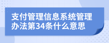 支付管理信息系统管理办法第34条什么意思