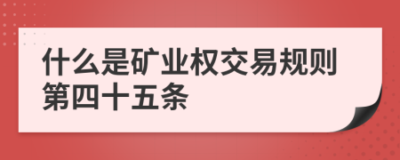 什么是矿业权交易规则第四十五条