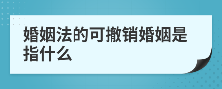 婚姻法的可撤销婚姻是指什么