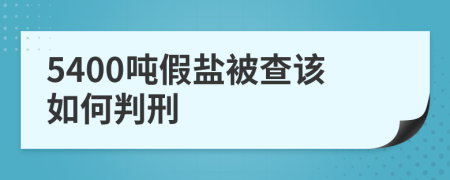 5400吨假盐被查该如何判刑