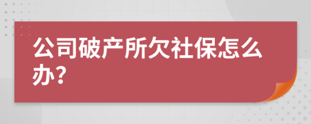 公司破产所欠社保怎么办？